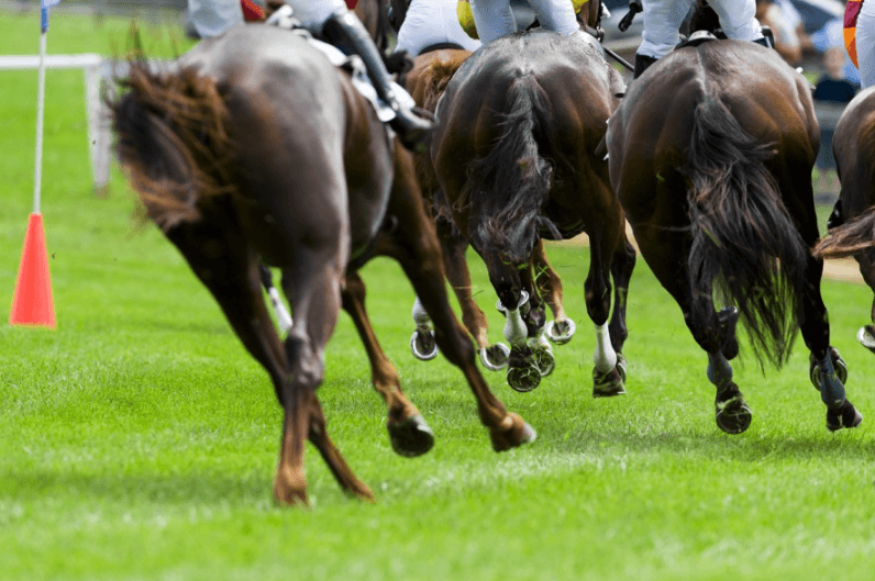 Horse Racing and Its Environmental Impact: Can the Sport Go Green?