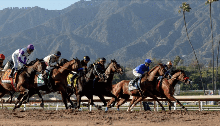 Horse Racing and Its Relationship With Gambling
