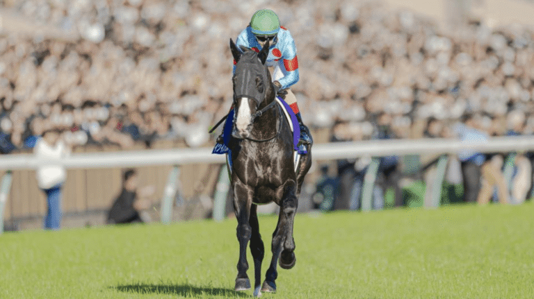 Horse Racing and Its Relationship With Horse Breeding
