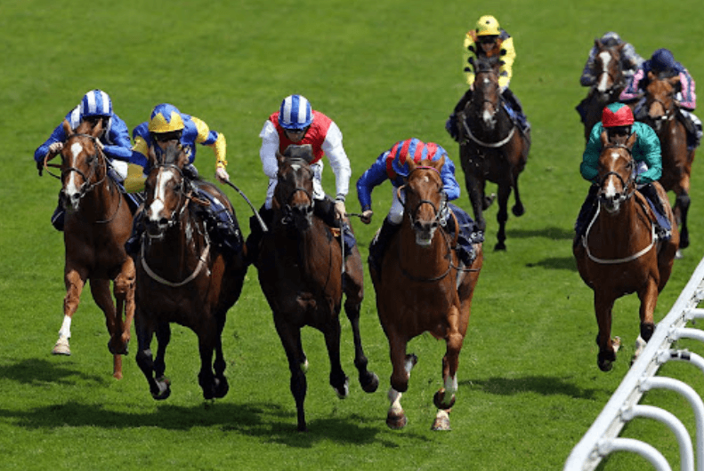 Horse Racing and the Olympics: Can the Sport Be Included?