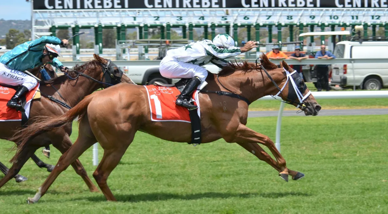 Horse Racing Betting Tips: How to Increase Your Chances of Winning