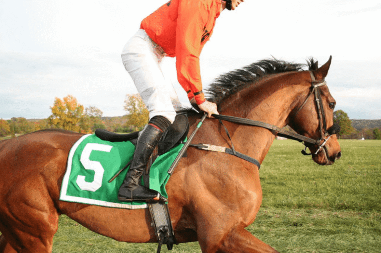 Horse Racing Etiquette: What to Wear and What to Expect at the Track