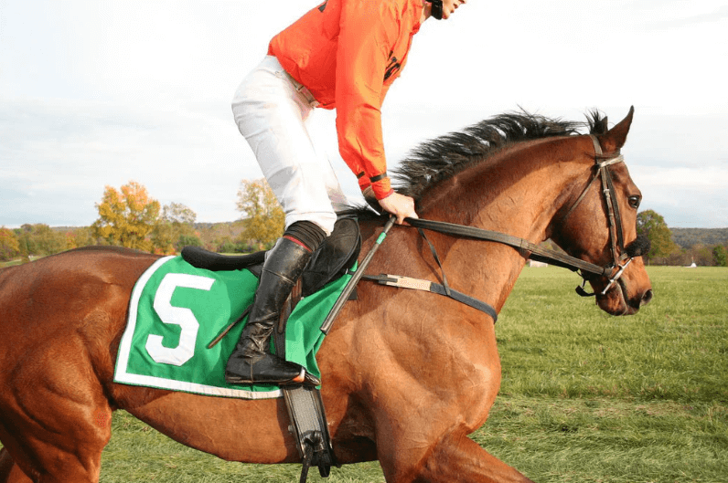 Horse Racing Etiquette: What to Wear and What to Expect at the Track