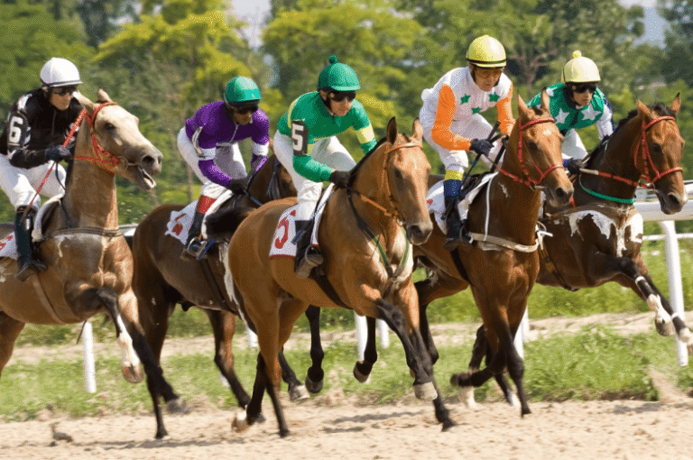 Horse Racing for Beginners: Key Terms You Need to Know